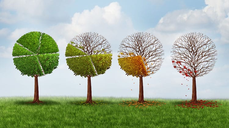 improve your credit score