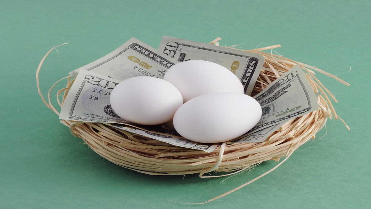 nest egg