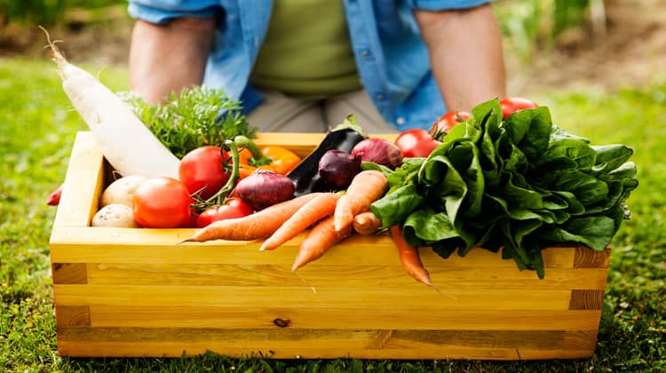 eat organic on a budget