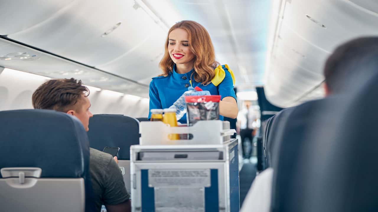 flight-attendant