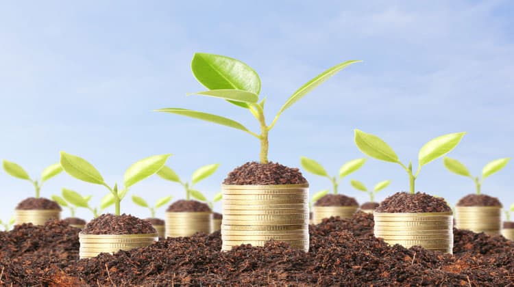 grow net worth