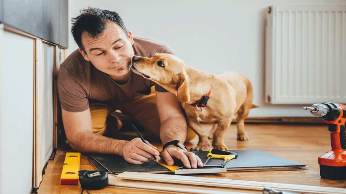 home-improvement