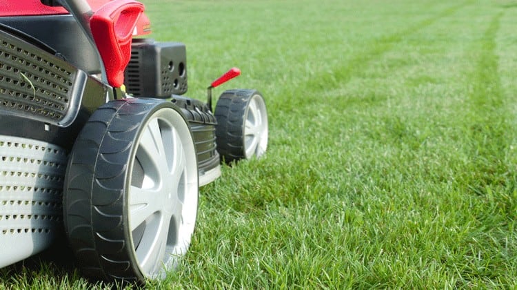 lawn mower
