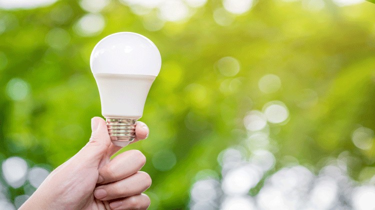 led light bulb