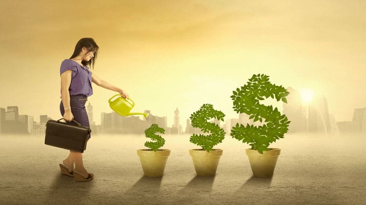 mutual fund basics