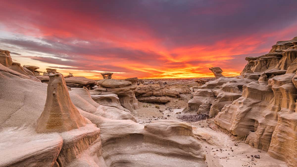 new mexico