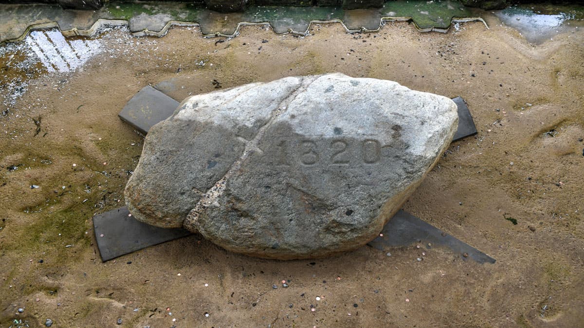 plymouth rock