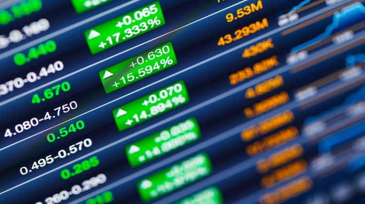 pros and cons of large cap stocks