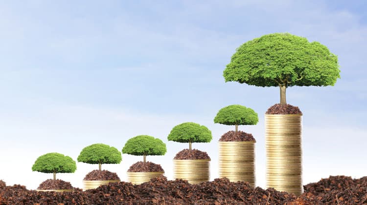 qaptial revew automated savings plan