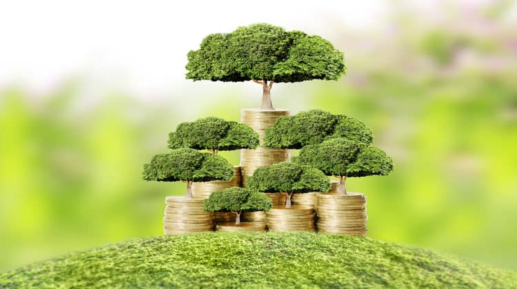 reach financial independence