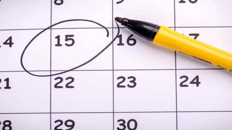 Schedule Meeting