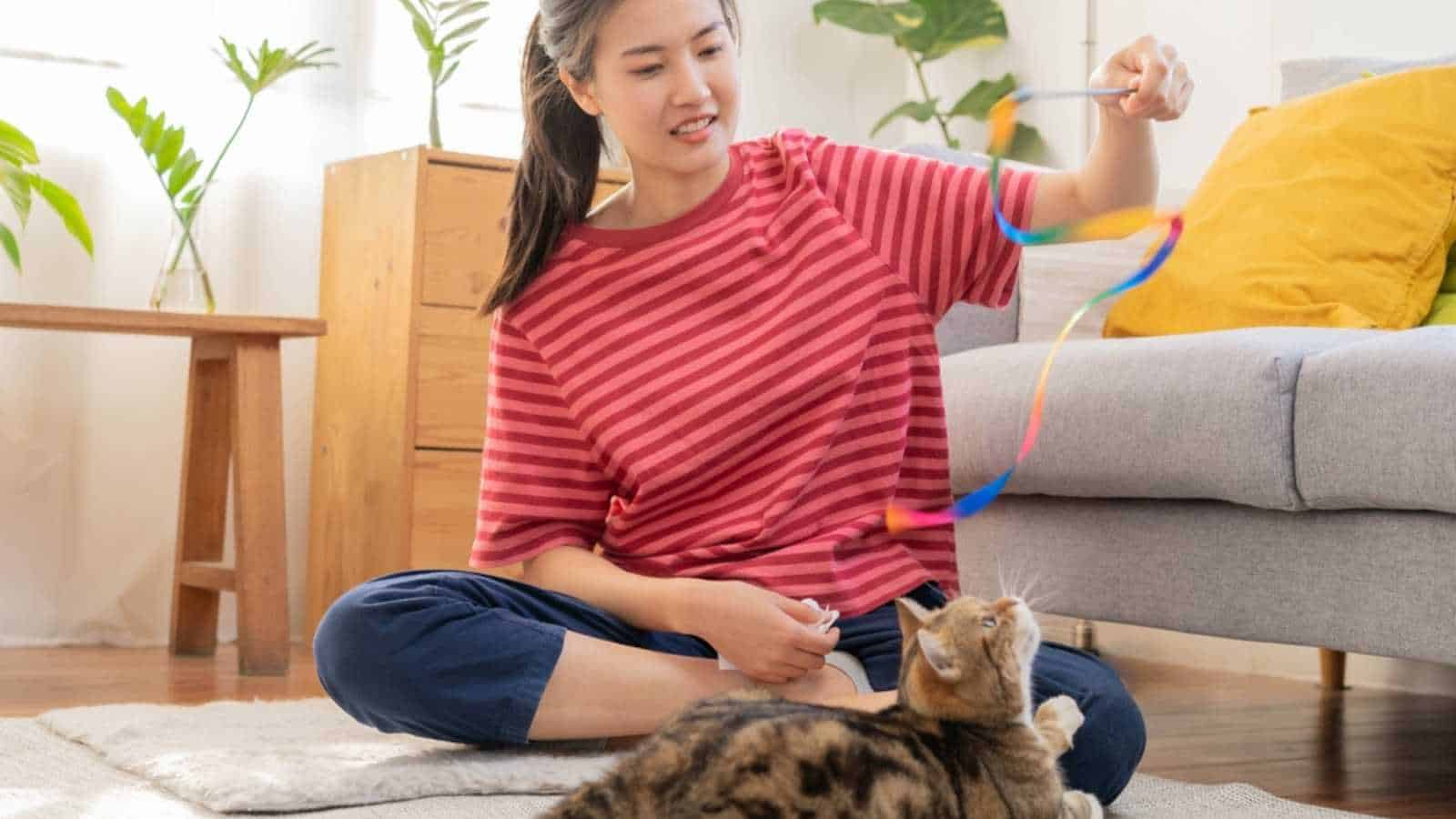 Teen Pet Sitting