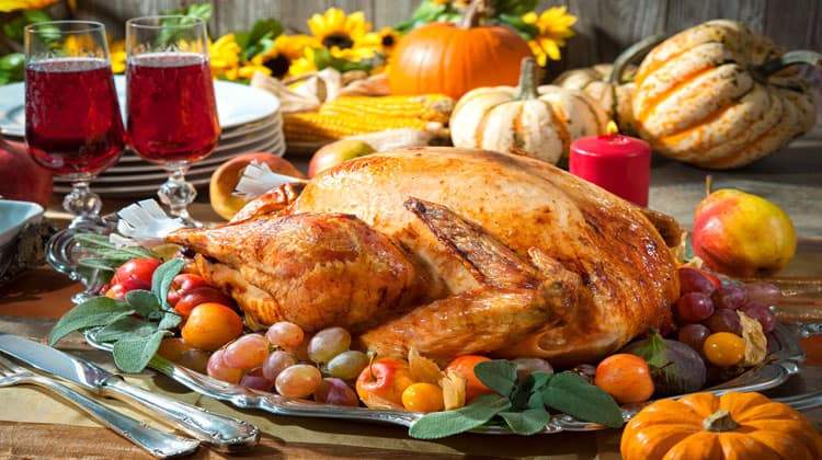 thanksgiving turkey