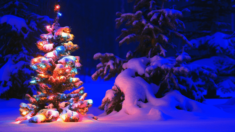 christmas lights