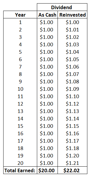 Dividend Income Earned or Reinvested