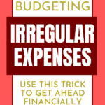 Irregular Expenses Pin