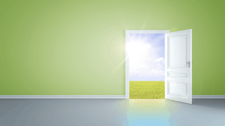 Options and Opportunities