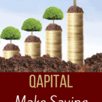 Qapital Review
