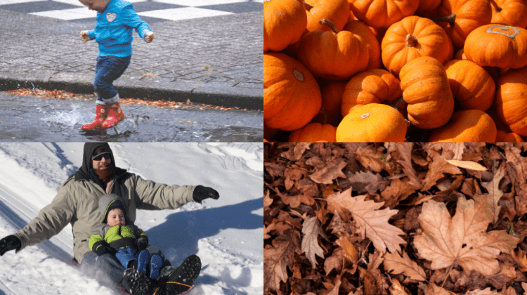 Seasonal Money Free Activities
