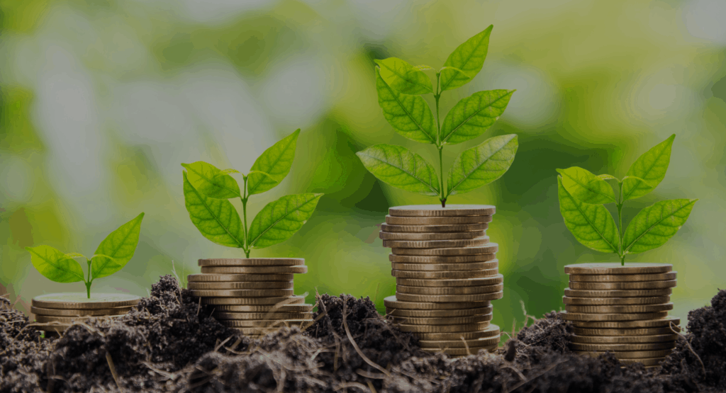 start investing archive
